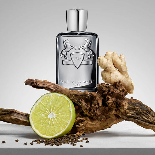 PARFUMS DE MARLY - CASTLEY